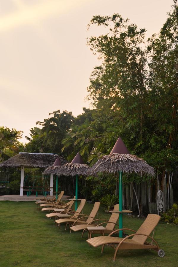 Marcosas Cottages Resort Moalboal Extérieur photo