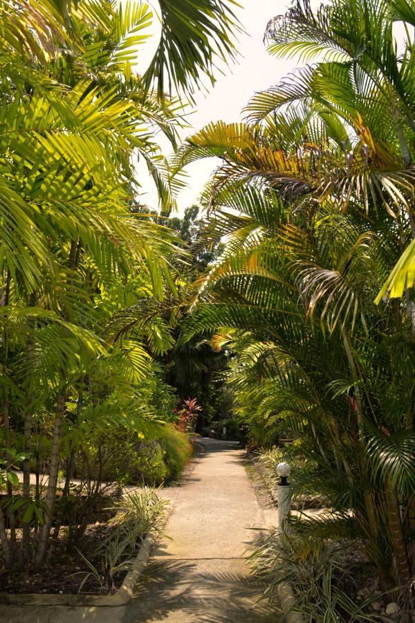Marcosas Cottages Resort Moalboal Extérieur photo