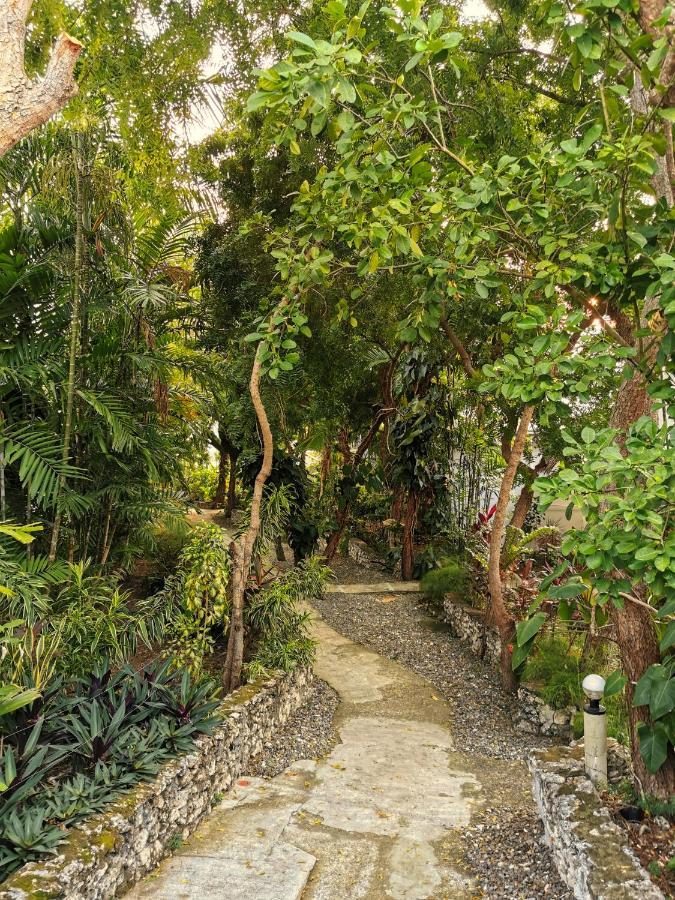 Marcosas Cottages Resort Moalboal Extérieur photo