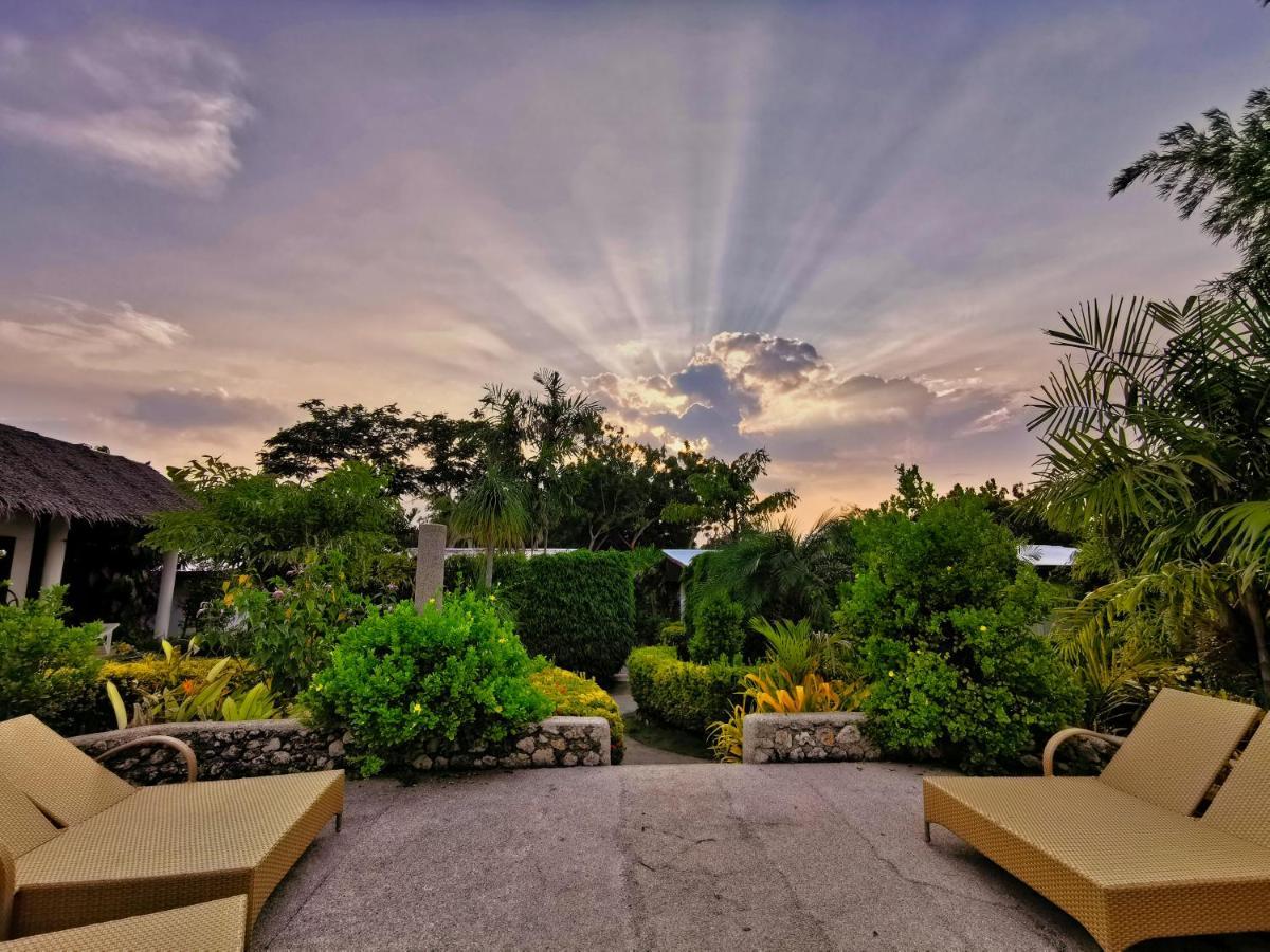 Marcosas Cottages Resort Moalboal Extérieur photo