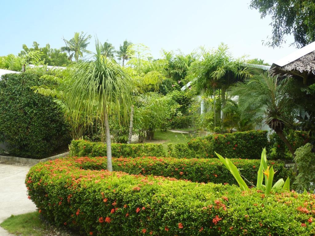 Marcosas Cottages Resort Moalboal Extérieur photo