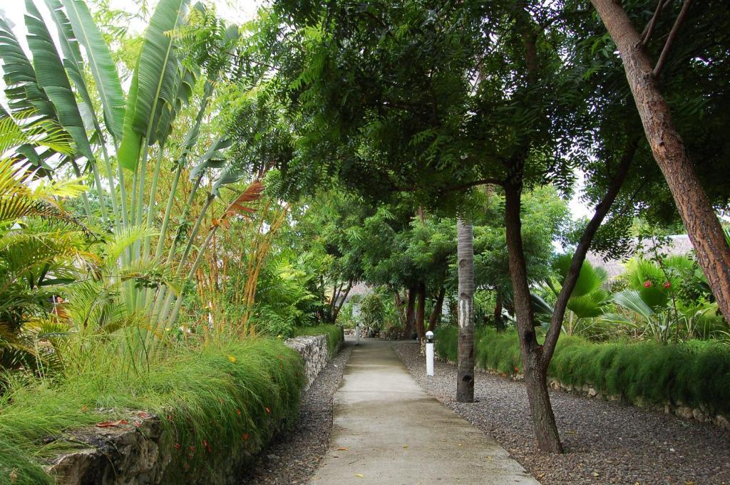 Marcosas Cottages Resort Moalboal Extérieur photo